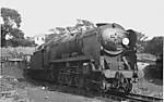 34097 @ Basingstoke shed circa 1965.