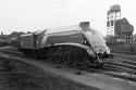 4498 At Crewe South.