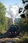 The Cathedrals Express 11.10.08