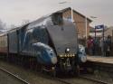 Bittern Charges Through Whalley.