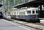 emus-at-Interlaken-Ost