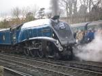 sir nigel at bridgnorth