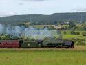 A Green Duchess In A Field Of Green