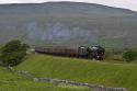 Ribblehead Guardsman