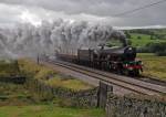 Lizzie on the Cumbrian