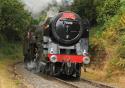 Ollie at the NYMR