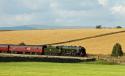 46115 On The Return Journey