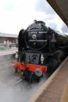 60163 Tornado at Taunton (5)