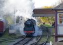 Duchess Of Sutherland