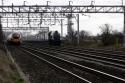 Bittern & Pendolino