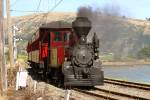 D Class No 140 on the Ferrymead Railway