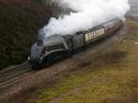 60019 Bittern Langstone Rock