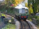 South Devon Railway Diesel Gala 5.11.11