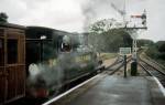 W24 Calbourne at Havenstreet July 1990