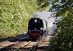 Tangmere heads for Southampton