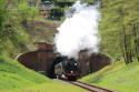 Sharpthorne Tunnel