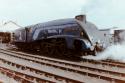 Sir Nigel Gresley