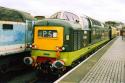 Deltic At Tyseley