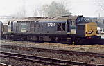 37259_crewe