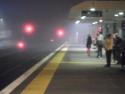 Foggy Papakura Station