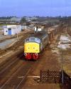 45022 @ Loughborough 10.08.1984.