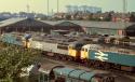 56087 & others at Knottingley. 04.07.1987.