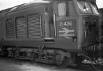 D436 at Crewe. 07.11.1970.