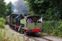 Ribble Steam Railway Autumn Gala 2021