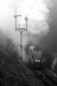 Mono Version Of Bittern Entering Arley