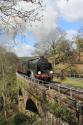 North Yorks Moors Spring Gala