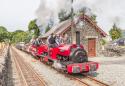 Ffestiniog Rly Linda & Blanche's 125th Birthday Bash 22 Locos In Steam