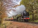 Severn Valley Railway End Of Season Gala