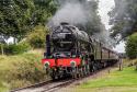 Svr Autumn Gala