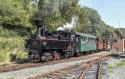 Welspool & Llanfair Steam Gala 3/09/23