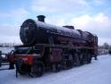 Leander At Quorn