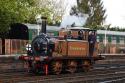 Lbscr Terrier No72 Svr Gala 20/4/24