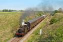 Terrier Martello At The Gcr(n)