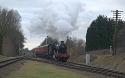 Dinmore Manor On The Tpo At Quorn