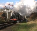 Passing Under Beeches Road