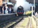 Black Prince At Quorn