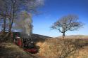 Talyllyn No 1 And Vintage Stock