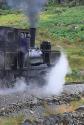 Welsh Highland Railway K1 Garratt Pounds Up The Gradiant Towards Rhyd Ddu On 29 07 2009