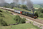 Bahamas at Mallerstang.