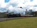 Bodmin Steam Gala 12-4-13