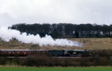 6024 Hauling The Shakespeare Express