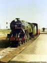 Green Goddess At Dungeness