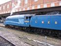 4464 Bittern At York 21.4.2012 2