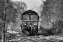 Class 66   Rainford