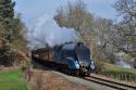 Bittern Heads South Towards Arley