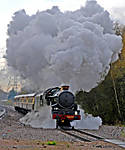 5029 Nunney Castle